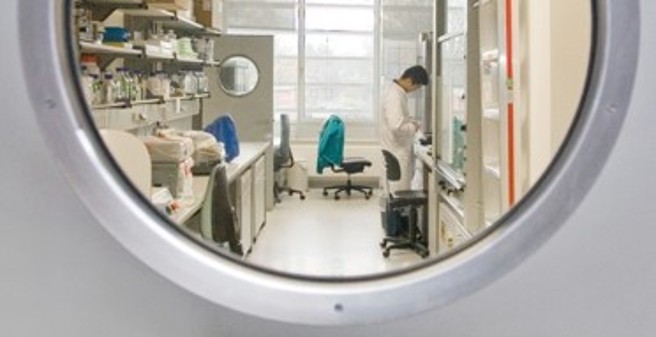 Blick durch ein rundes Türfenster in ein Labor