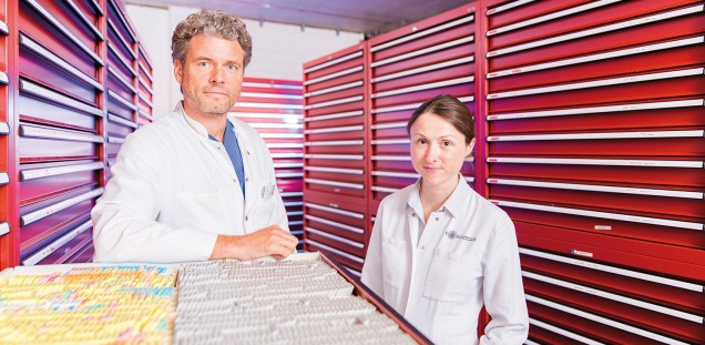 Gunhild von Amsberg und Thorsten Schlomm erforschen die genspezifische Krebstherapie
