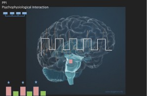 Erregungsmuster von neuronalen Netzwerken während einer Migräneattacke