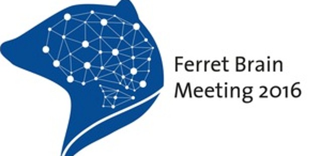 Ferret Brain Meeting 2016