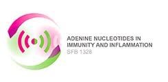 SFB 1328: Adeninnukleotide in Immunität und Entzündung