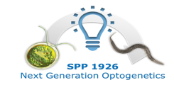 SPP 1926 logo
