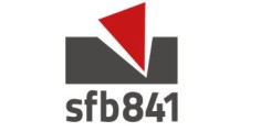 Logo SFB841