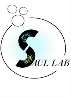 Logo Ag Saul