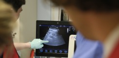 Notfalldiagnostik per Ultraschall
