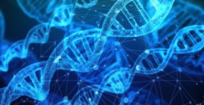 DNA Strang vor blauem Hintergrund 