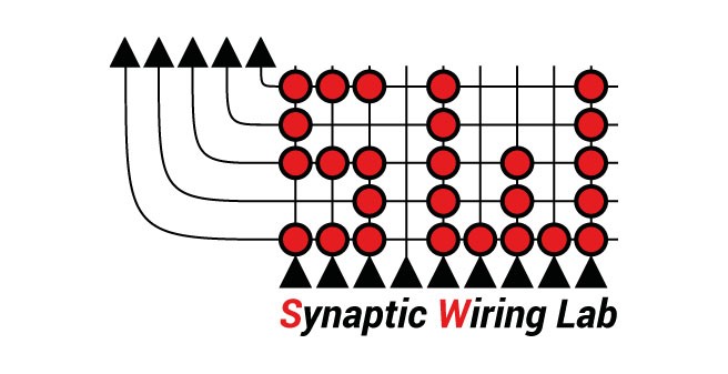Synaptic Wiring Lab